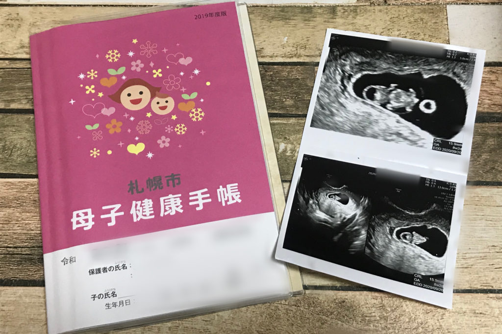 母子手帳　妊娠8週　エコー写真