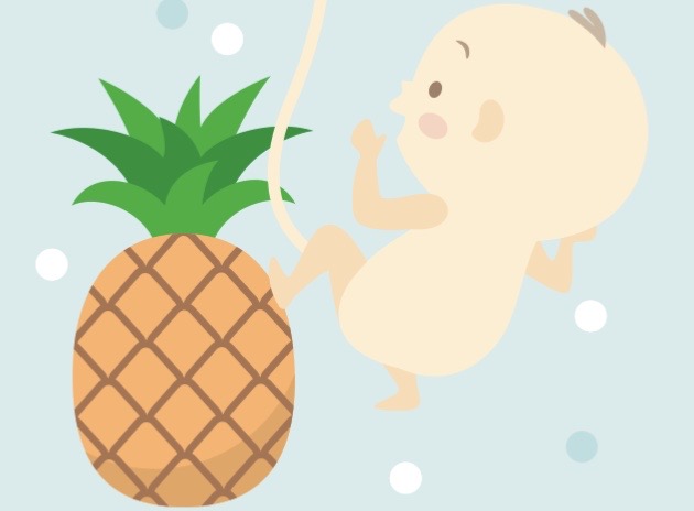 妊娠27週　赤ちゃん　大きさ　イラスト　パイナップル